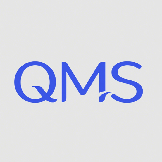 QMS Toys logo